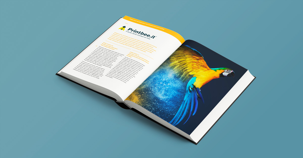 Libro cartonato a colori premium